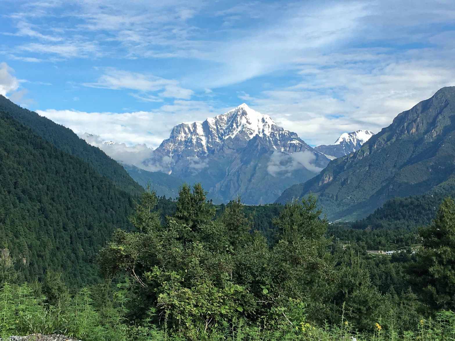 Alpine forest landscape in the Himalayas.